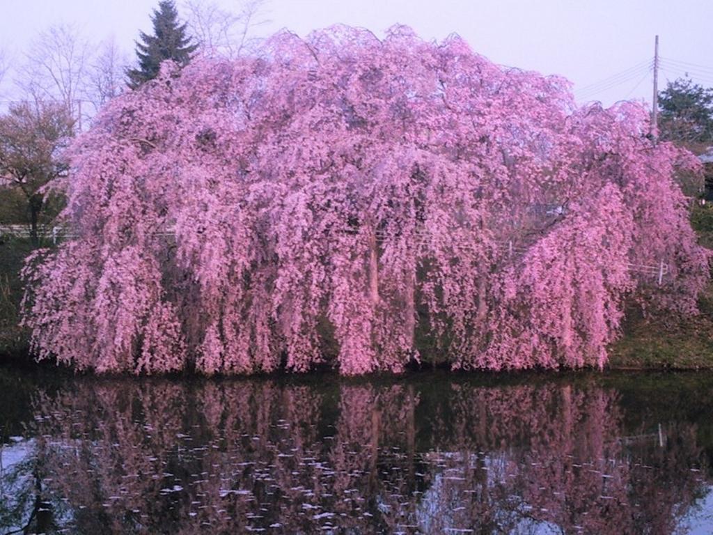 Yamayuri No Yado Hanamaki Exterior foto